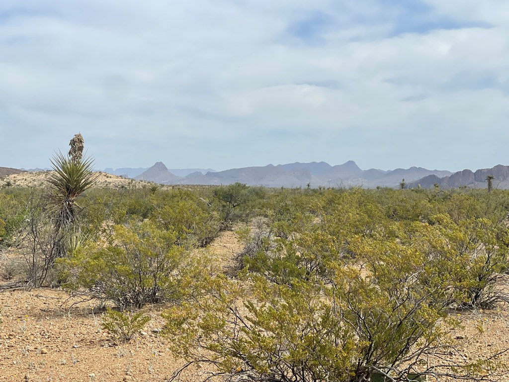 TR 4749 Private Rd, Terlingua, Texas image 15