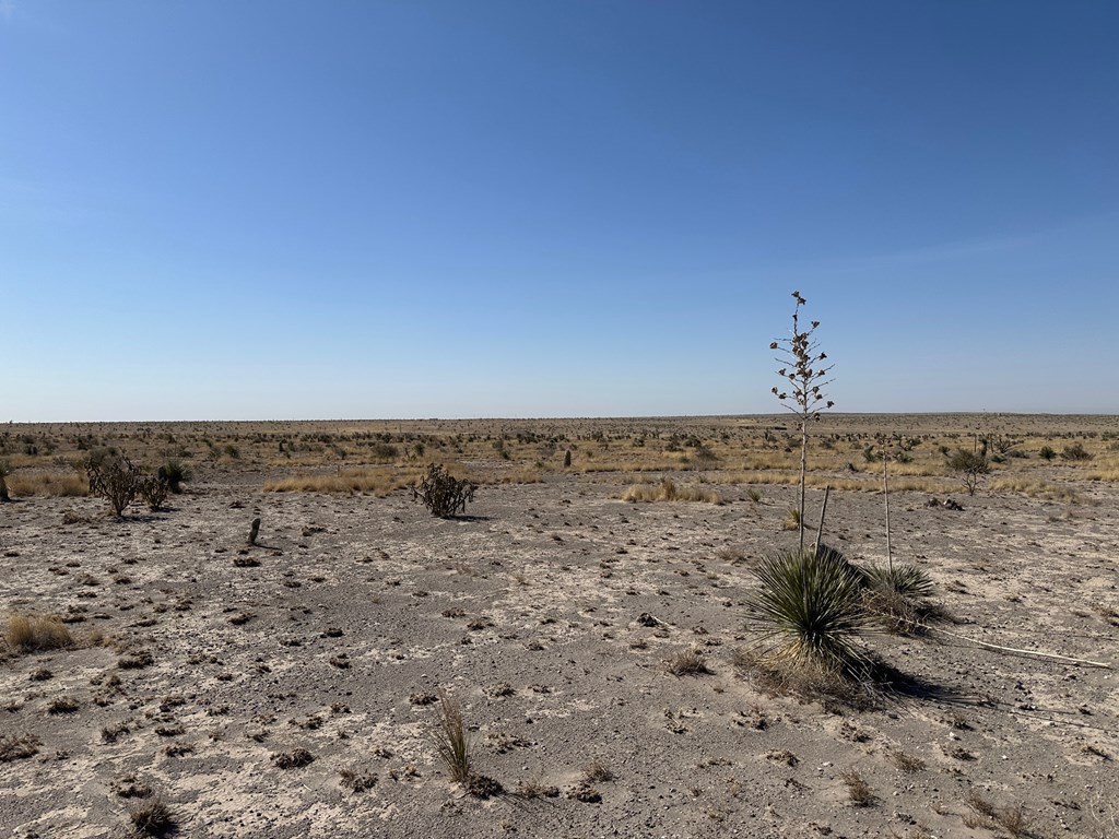 2240 Rabbit Rd, Marfa, Texas image 4