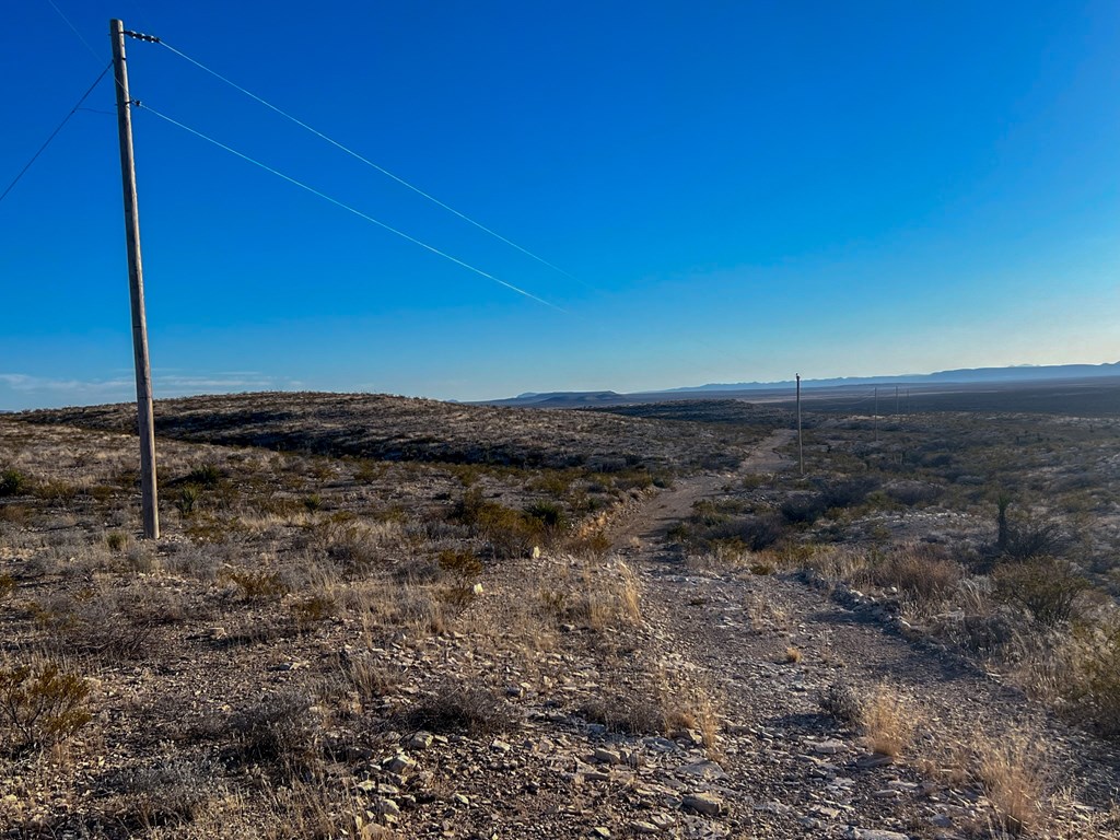 49229 State Hwy 118 S, Alpine, Texas image 23