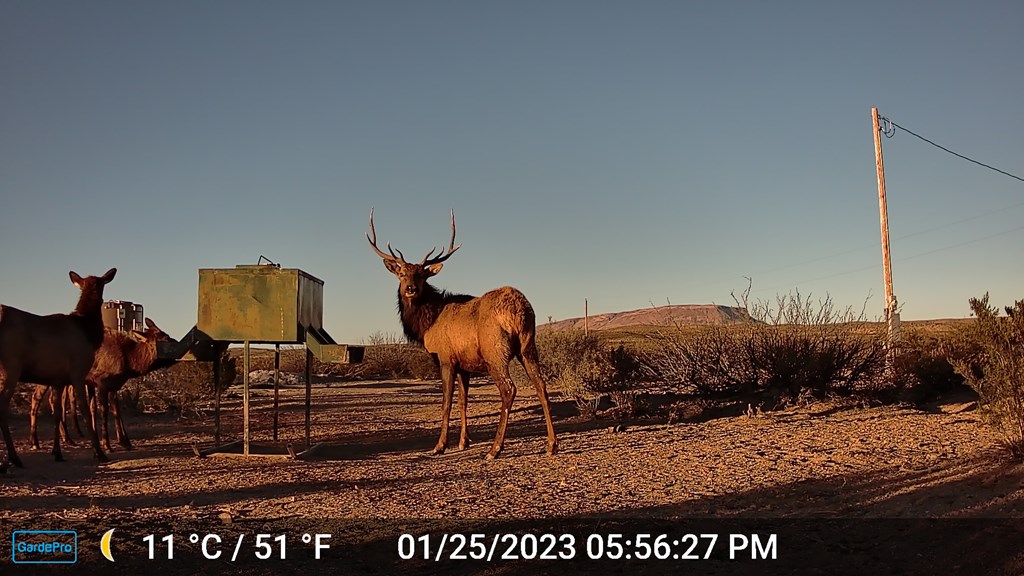 49229 State Hwy 118 S, Alpine, Texas image 15