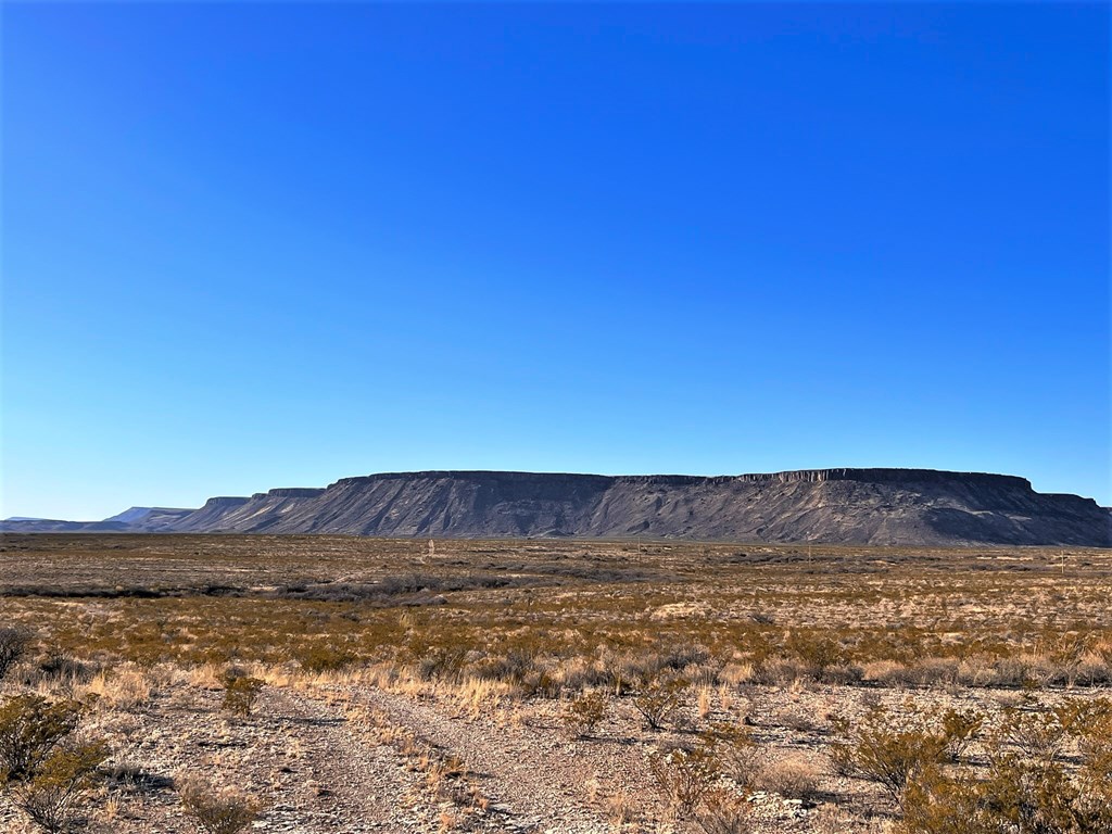 49229 State Hwy 118 S, Alpine, Texas image 22