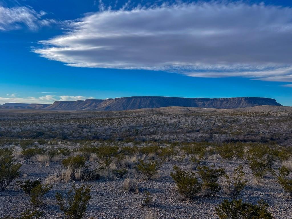 49229 State Hwy 118 S, Alpine, Texas image 1