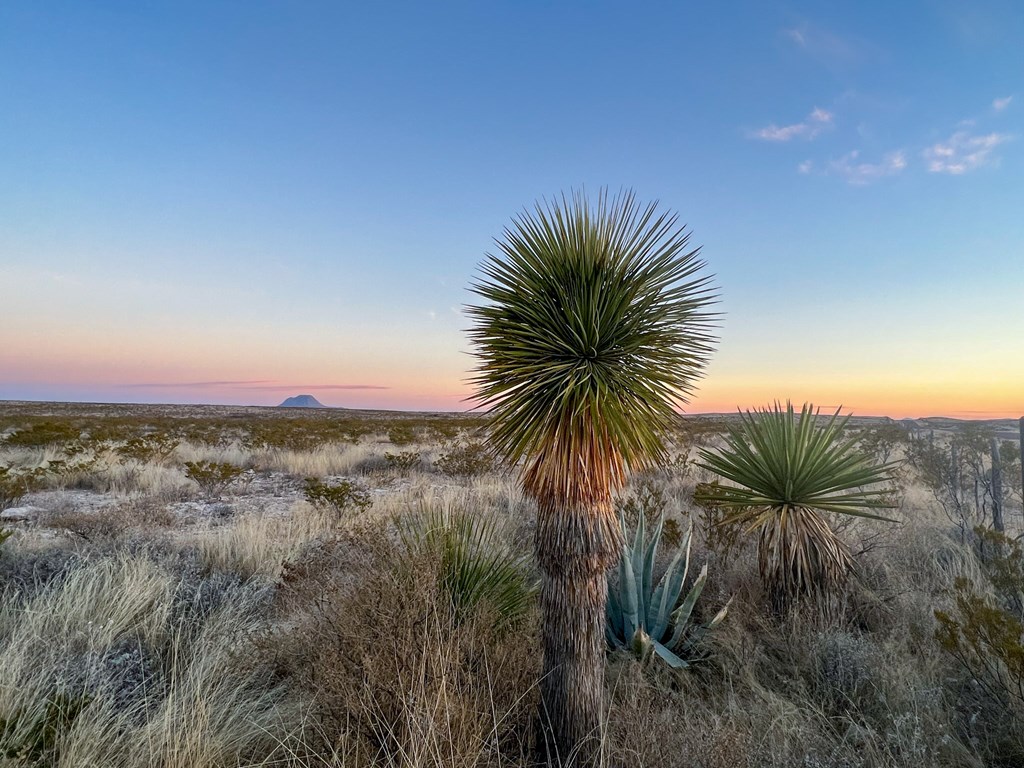 49229 State Hwy 118 S, Alpine, Texas image 9