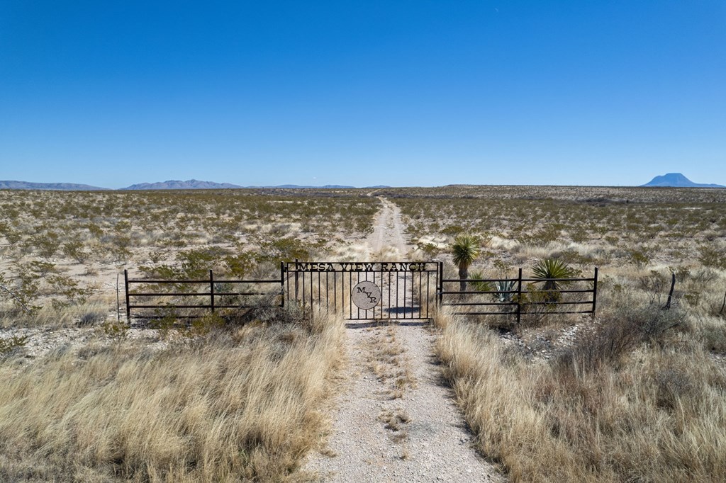 49229 State Hwy 118 S, Alpine, Texas image 6