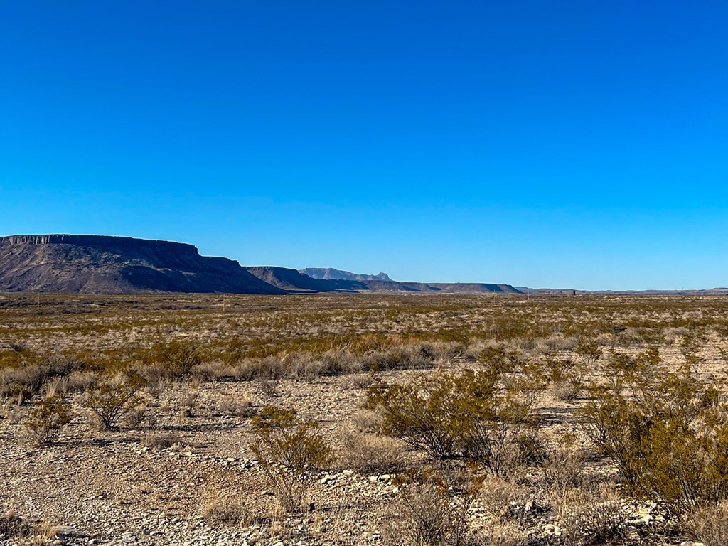 49229 State Hwy 118 S, Alpine, Texas image 12