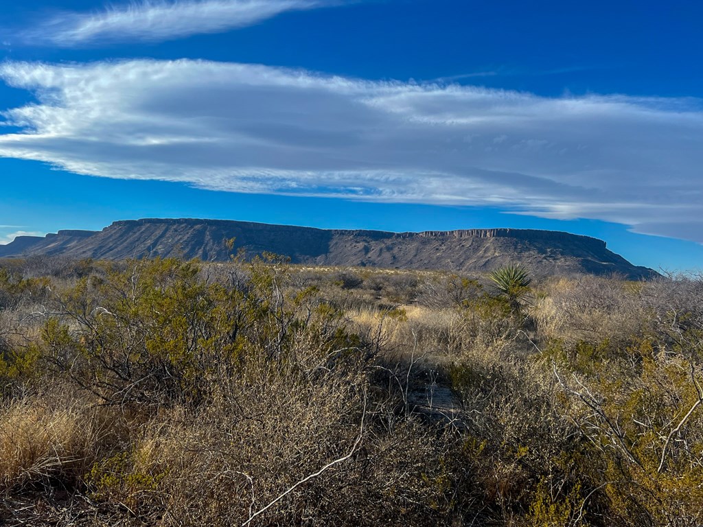 49229 State Hwy 118 S, Alpine, Texas image 19