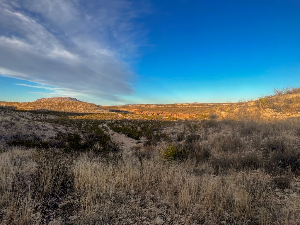 49229 State Hwy 118 S, Alpine, Texas image 28