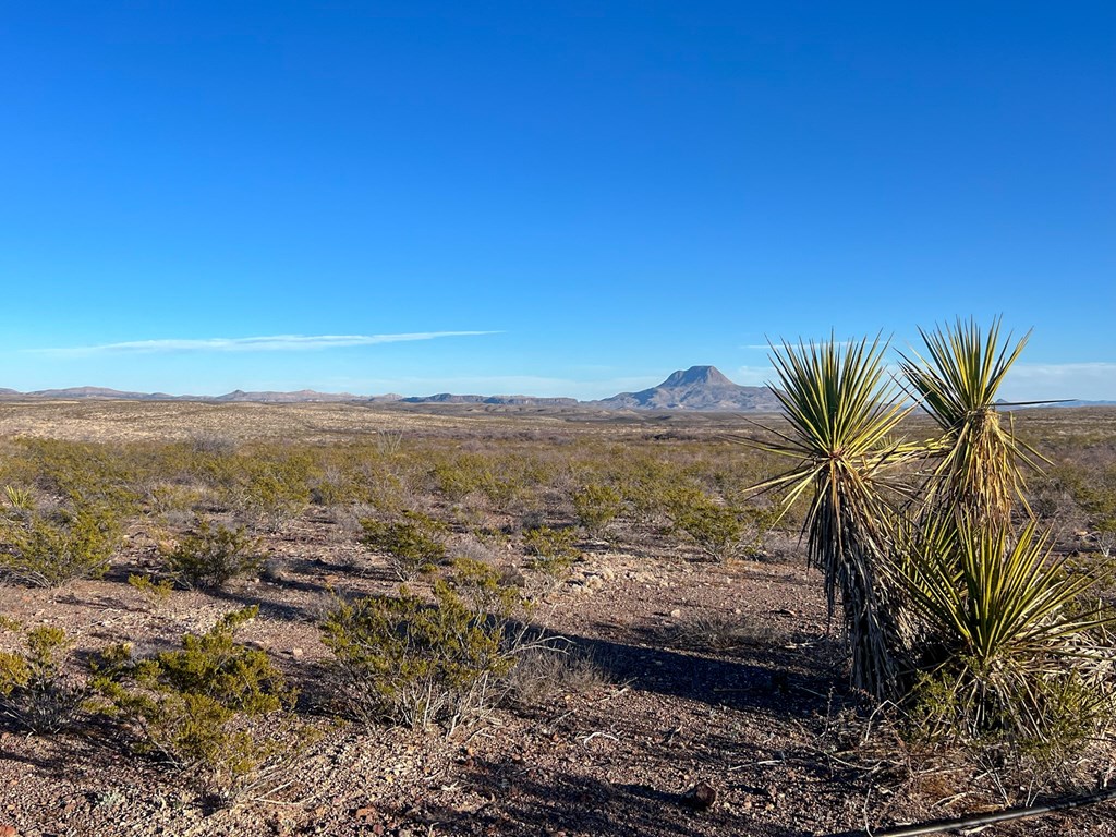 49229 State Hwy 118 S, Alpine, Texas image 24