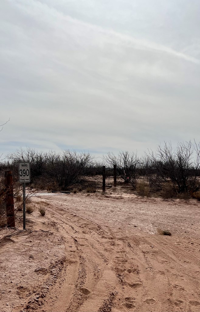 TBD SW Cr 389, Grandfalls, Texas image 2