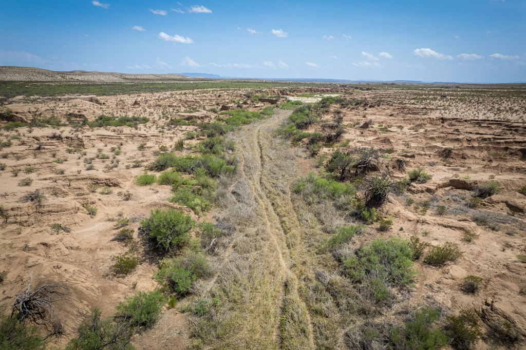 49169 S Hwy 118, Alpine, Texas image 9