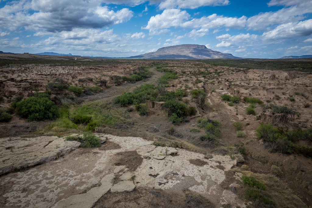 49169 S Hwy 118, Alpine, Texas image 27