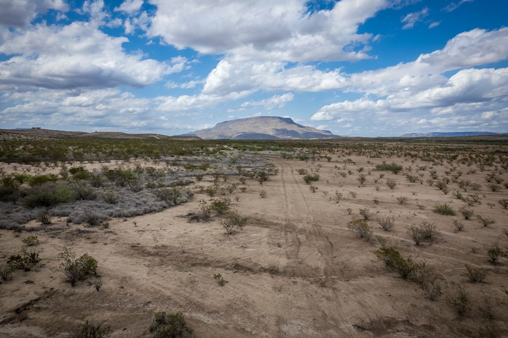 49169 S Hwy 118, Alpine, Texas image 24