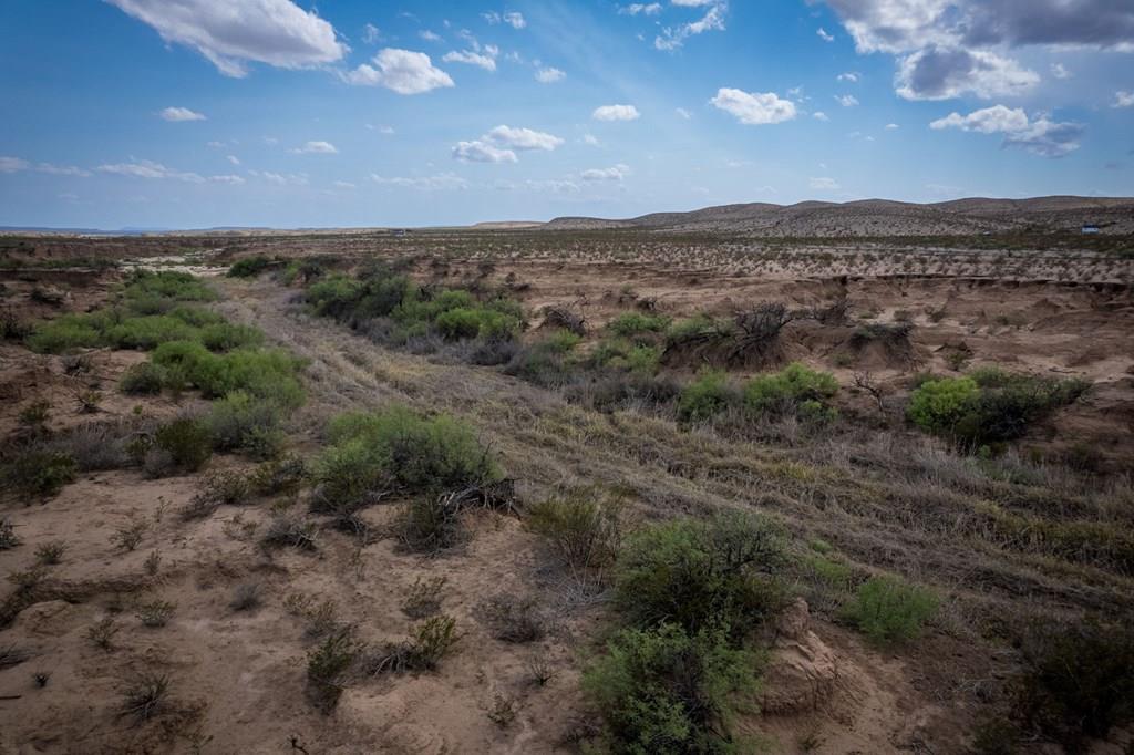 49169 S Hwy 118, Alpine, Texas image 1