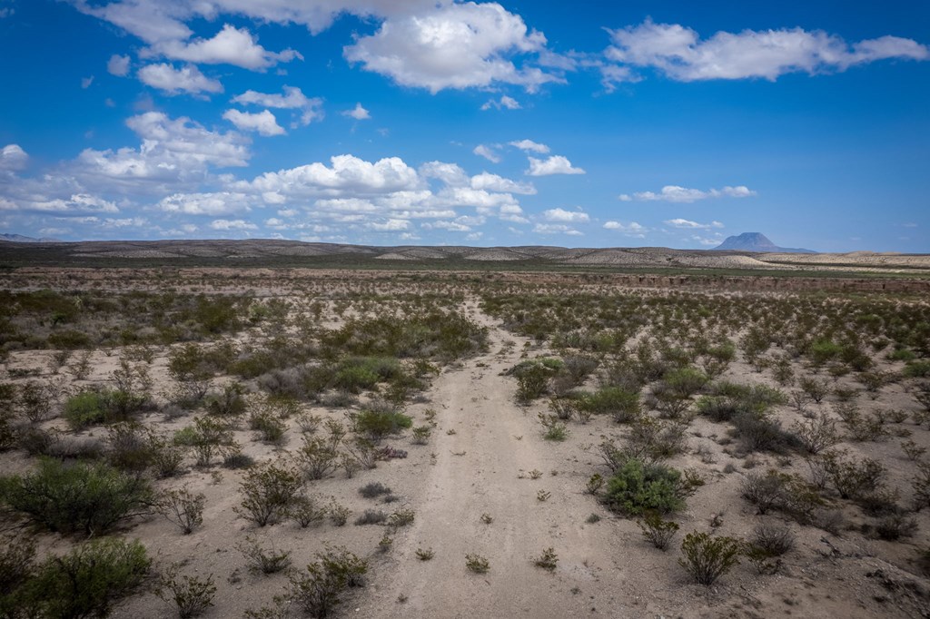 49169 S Hwy 118, Alpine, Texas image 23