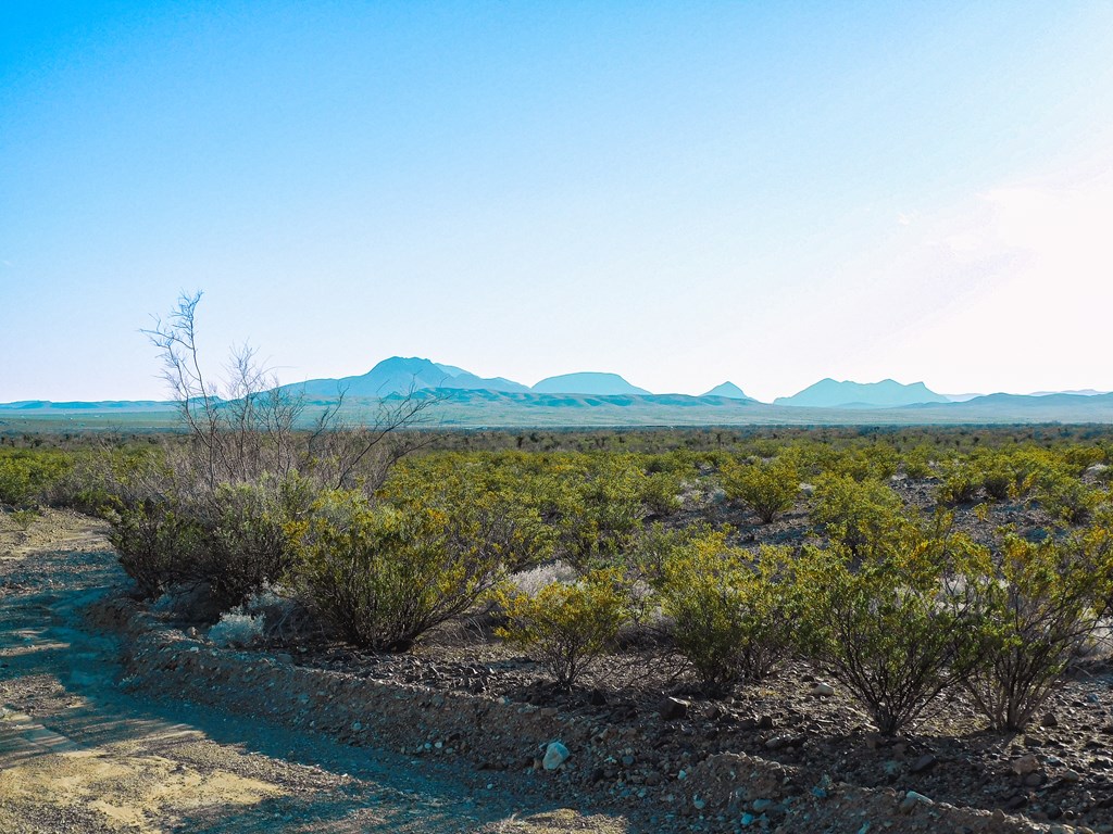 15429 Virgil Clark Rd, Terlingua, Texas image 20