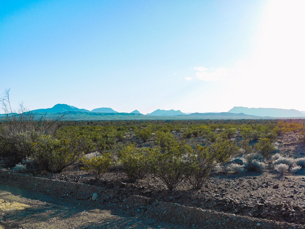 15429 Virgil Clark Rd, Terlingua, Texas image 22