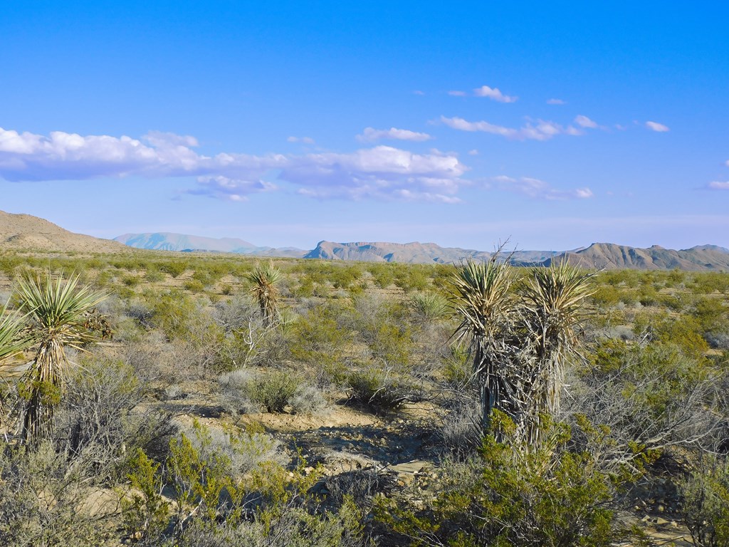 15429 Virgil Clark Rd, Terlingua, Texas image 14