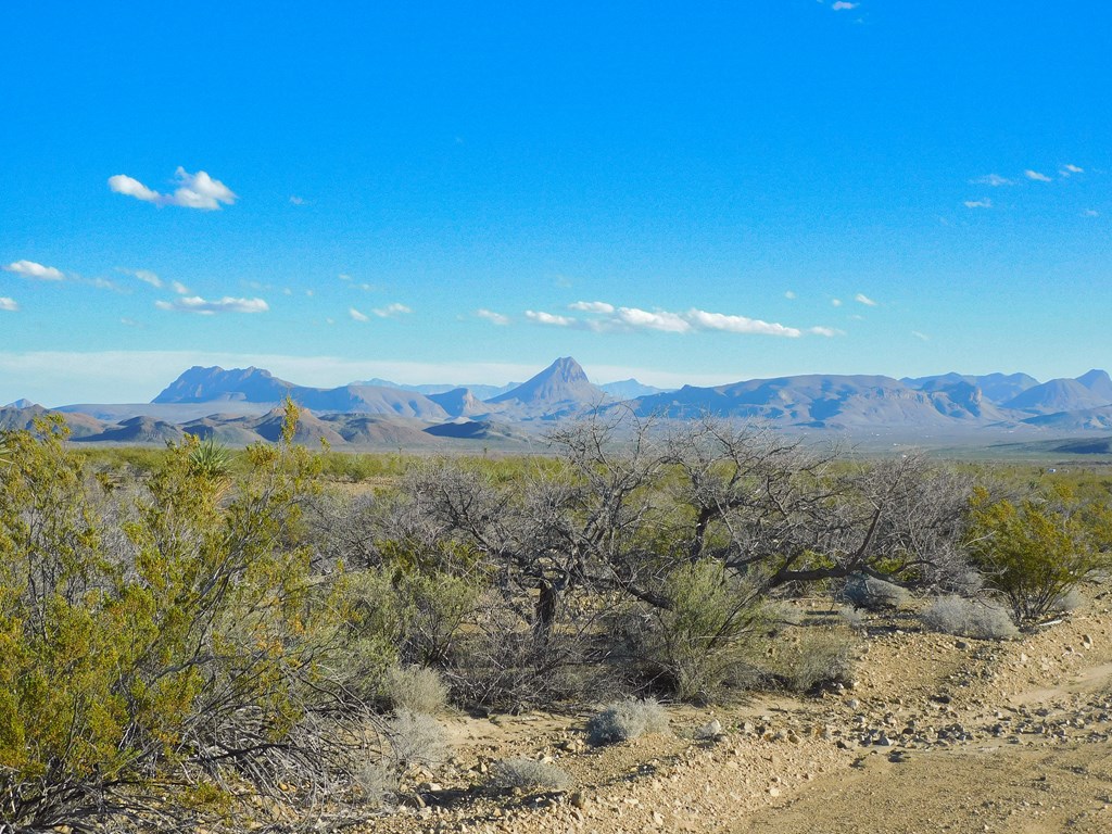 15429 Virgil Clark Rd, Terlingua, Texas image 5