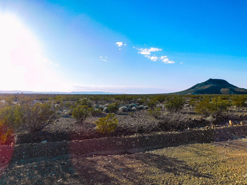 15429 Virgil Clark Rd, Terlingua, Texas image 24