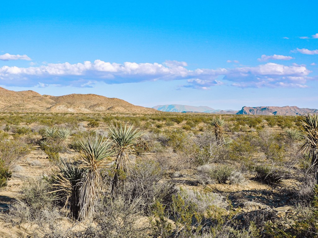 15429 Virgil Clark Rd, Terlingua, Texas image 15