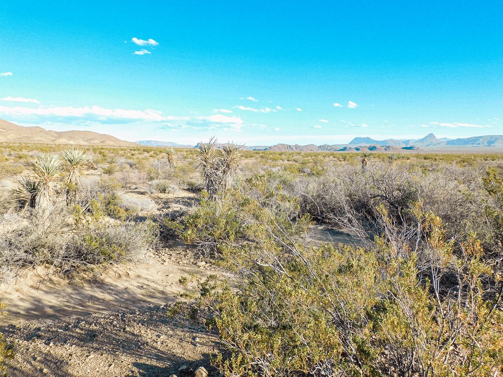 15429 Virgil Clark Rd, Terlingua, Texas image 6