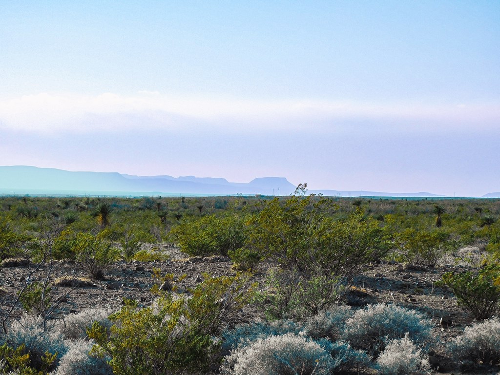 15429 Virgil Clark Rd, Terlingua, Texas image 25