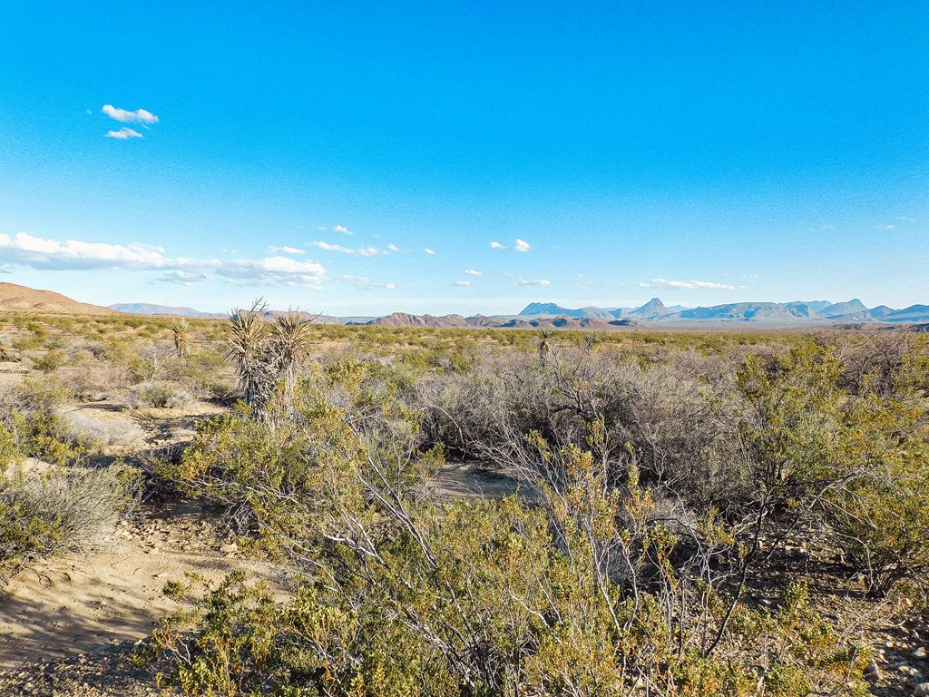 15429 Virgil Clark Rd, Terlingua, Texas image 13