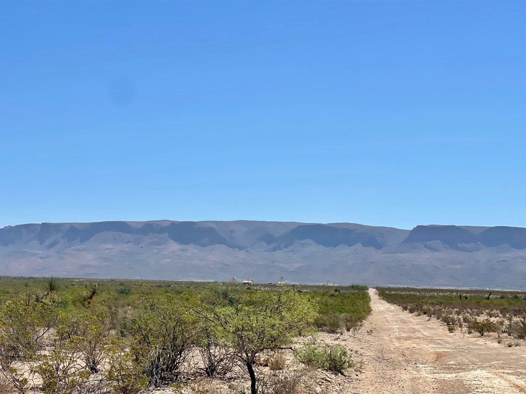 TR 4411 Roja Lane, Terlingua, Texas image 8