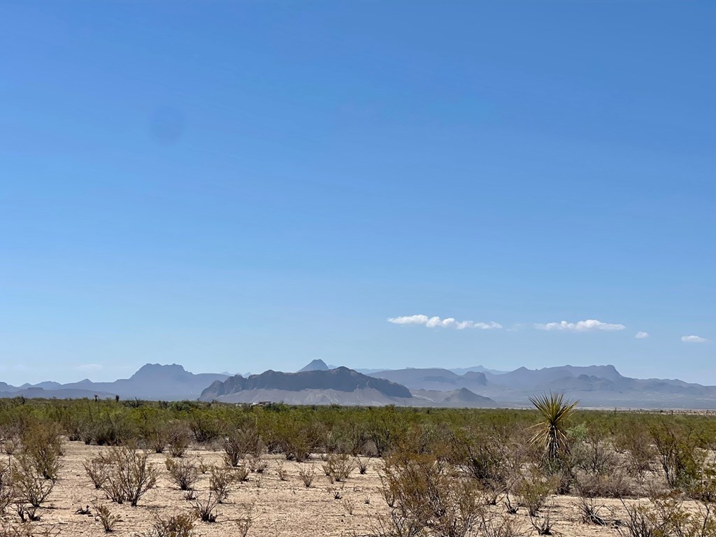 TR 4411 Roja Lane, Terlingua, Texas image 5