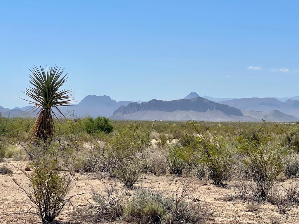 TR 4411 Roja Lane, Terlingua, Texas image 1