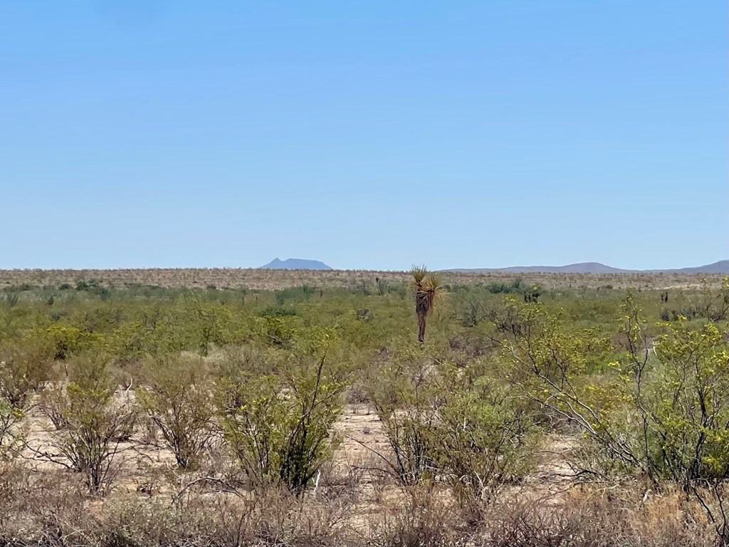 TR 4411 Roja Lane, Terlingua, Texas image 7