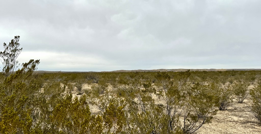 TR 4787 Private Rd, Terlingua, Texas image 5