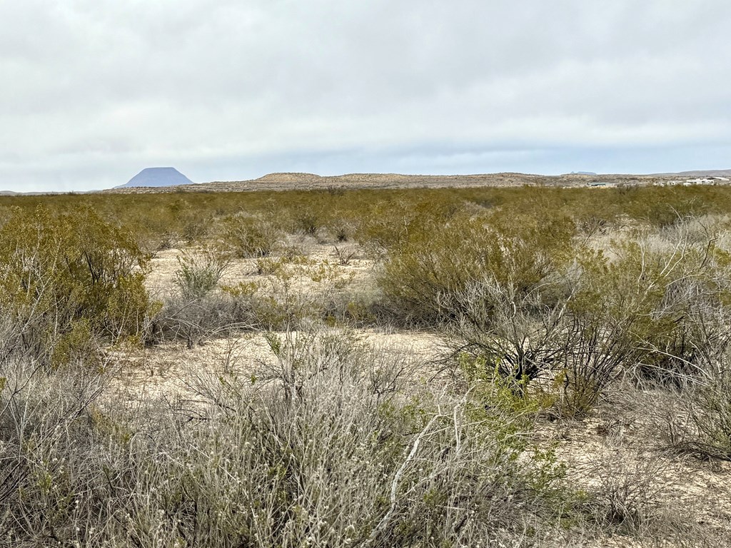 TR 4787 Private Rd, Terlingua, Texas image 7