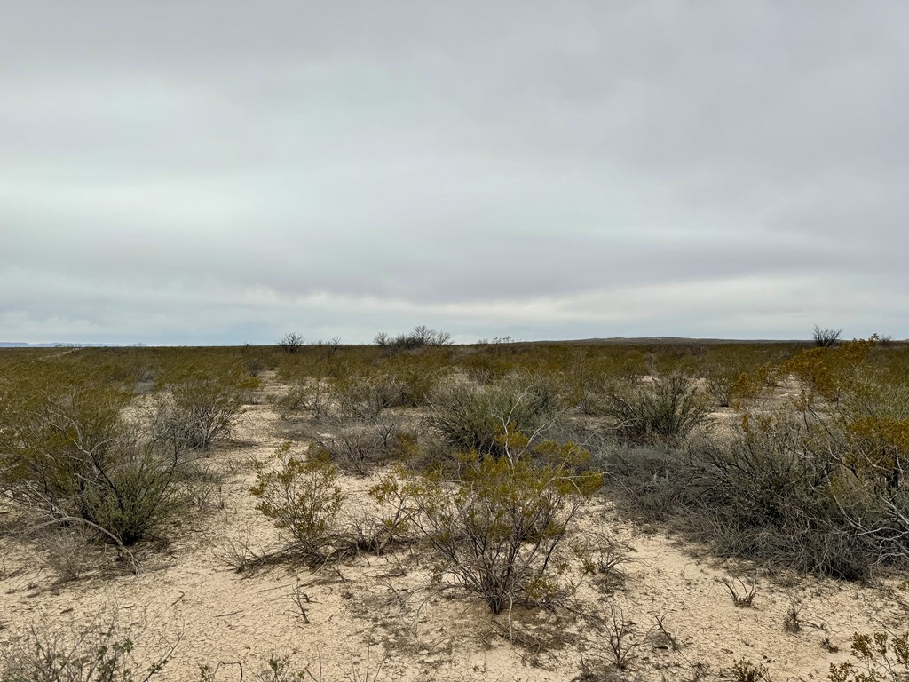 TR 4787 Private Rd, Terlingua, Texas image 6