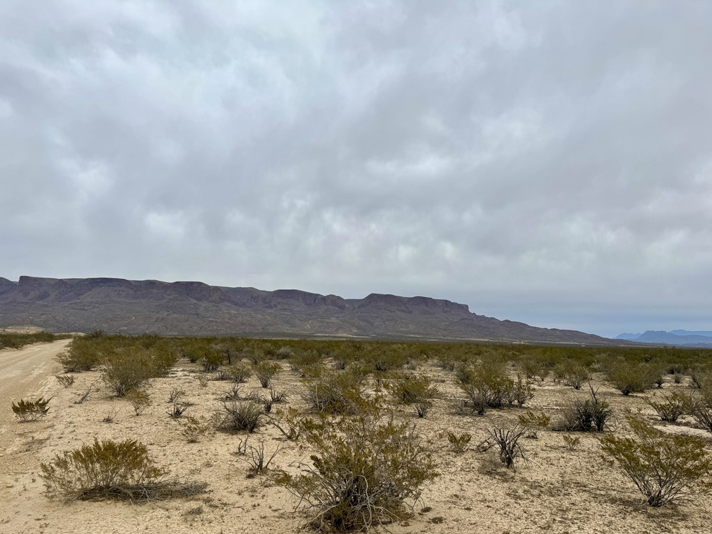 TR 4787 Private Rd, Terlingua, Texas image 3