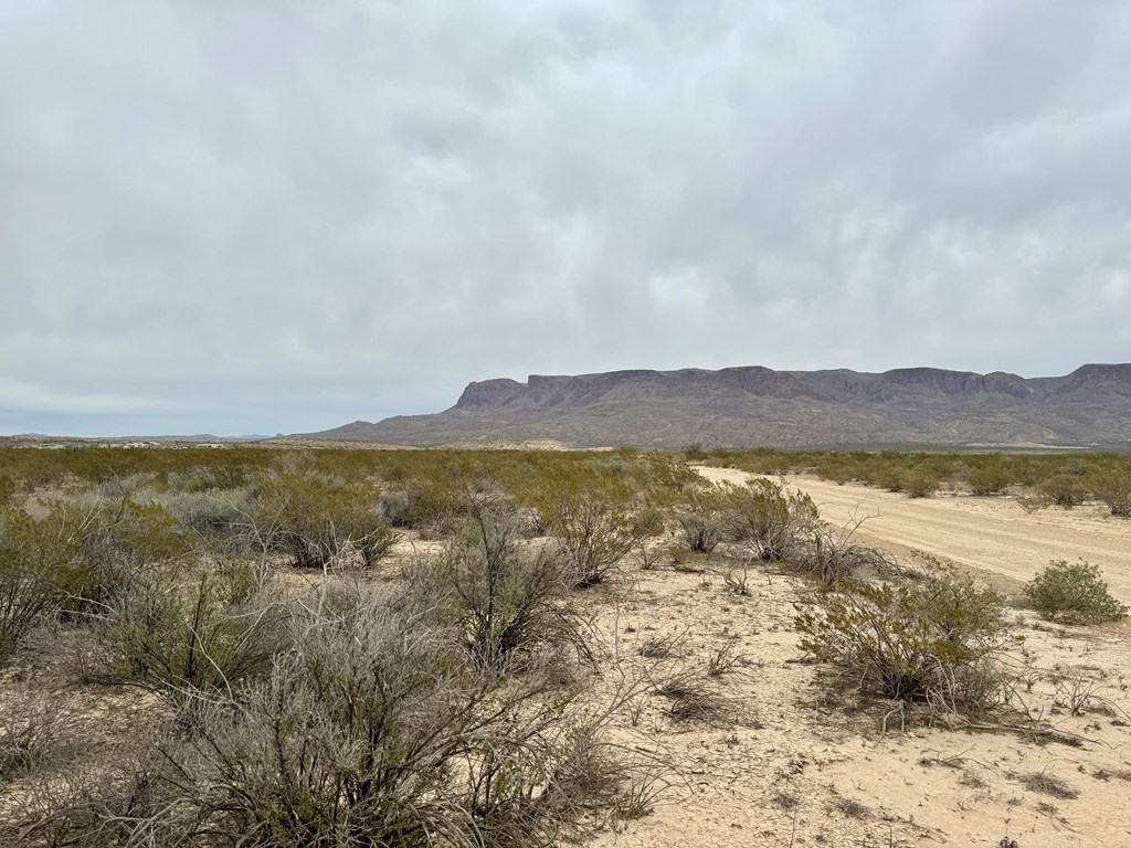 TR 4787 Private Rd, Terlingua, Texas image 8