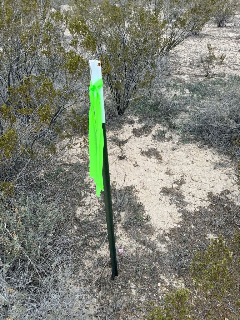 TR 4787 Private Rd, Terlingua, Texas image 9