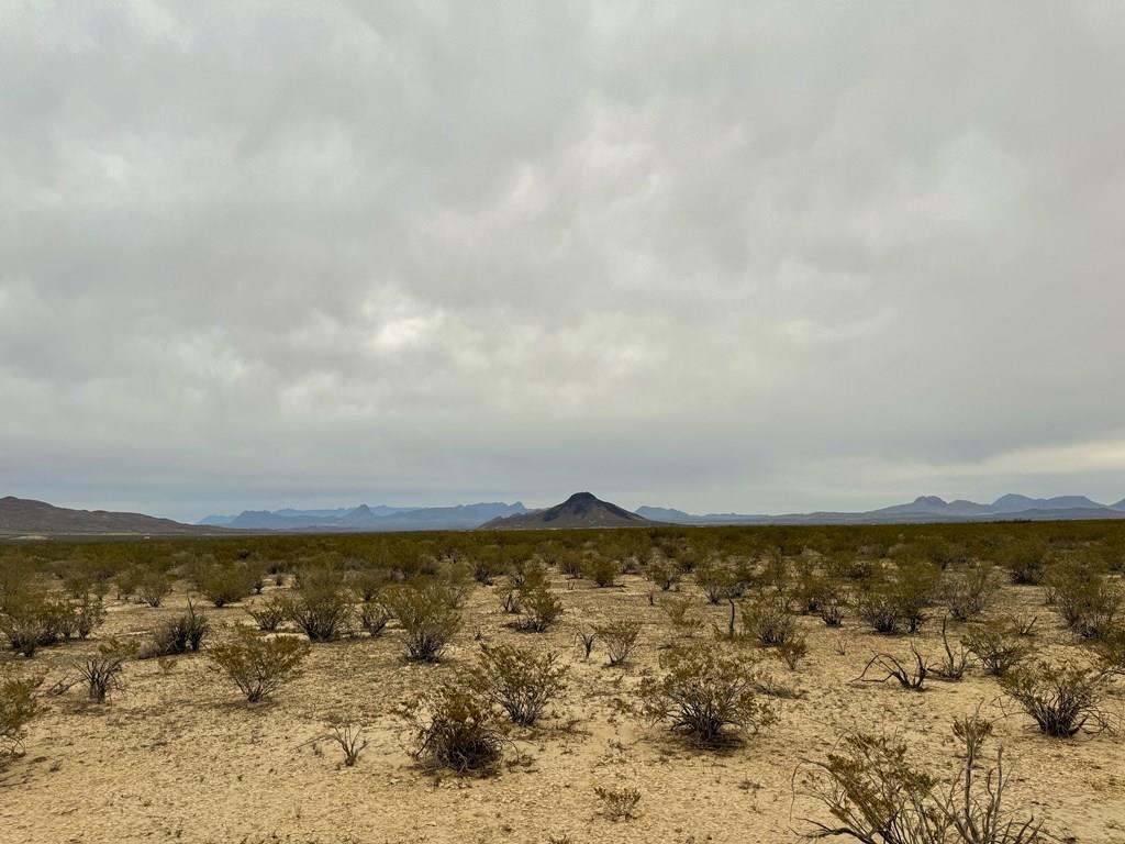 TR 4787 Private Rd, Terlingua, Texas image 1