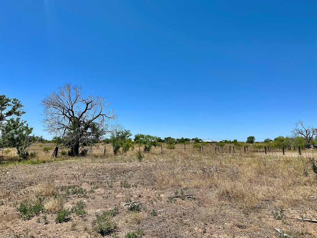 511 S Plateau St #10, Marfa, Texas image 2