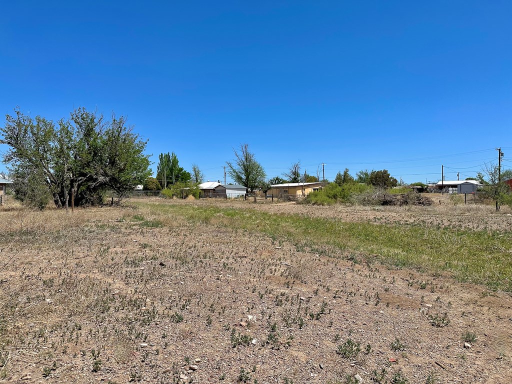 511 S Plateau St #10, Marfa, Texas image 6