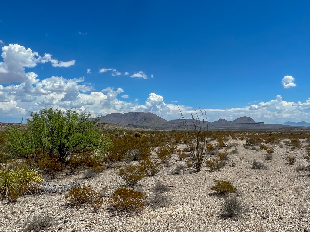 C32 Powell Rd, Terlingua, Texas image 7