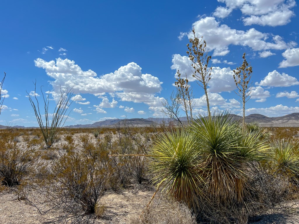 C32 Powell Rd, Terlingua, Texas image 4