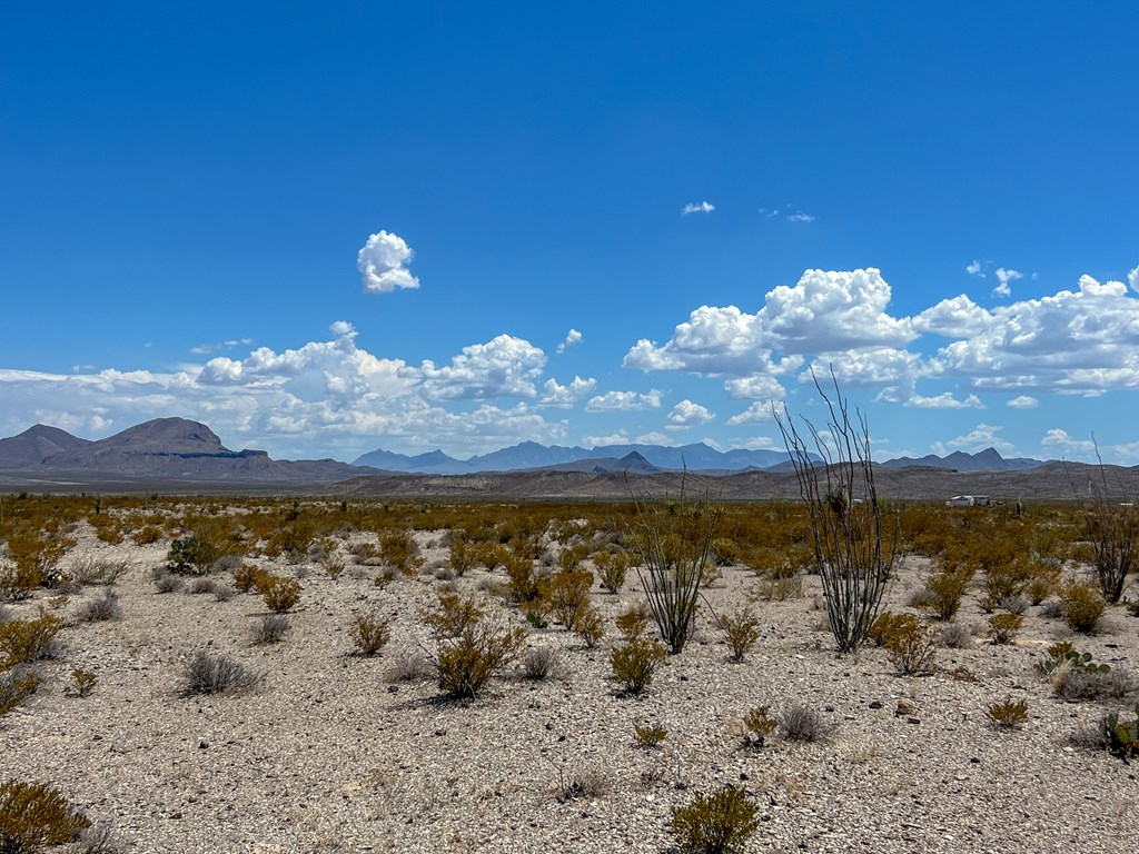 C32 Powell Rd, Terlingua, Texas image 8