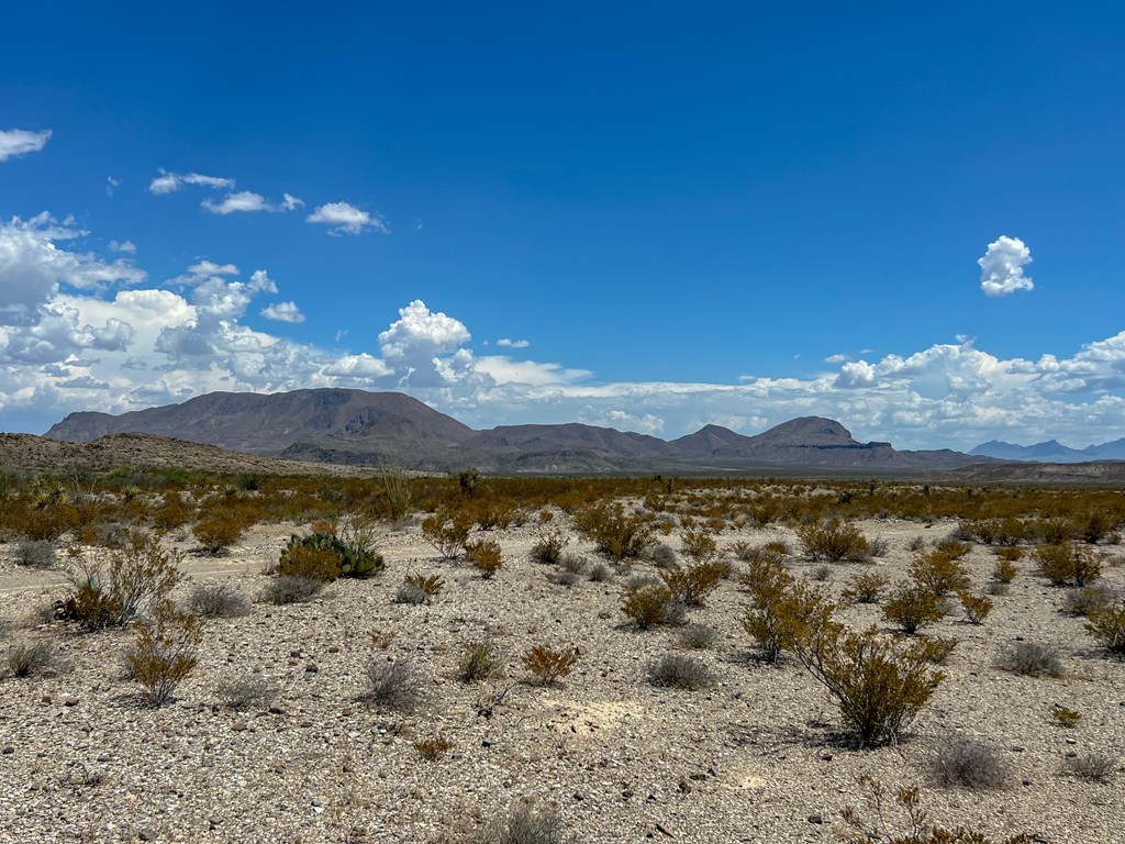 C32 Powell Rd, Terlingua, Texas image 14