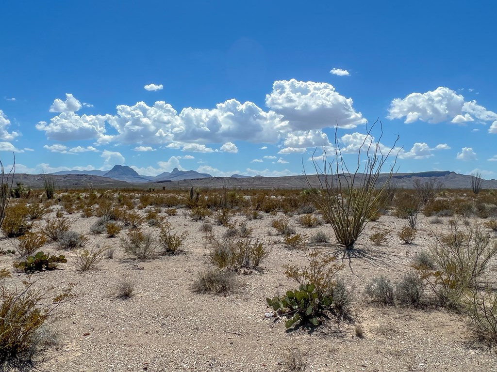 C32 Powell Rd, Terlingua, Texas image 12