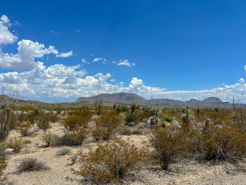 C32 Powell Rd, Terlingua, Texas image 11