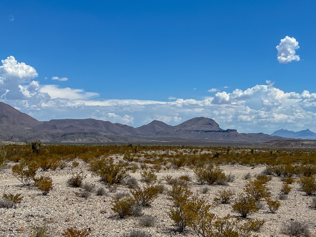 C32 Powell Rd, Terlingua, Texas image 13