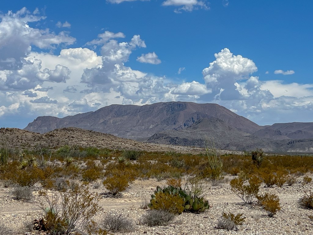 C32 Powell Rd, Terlingua, Texas image 5