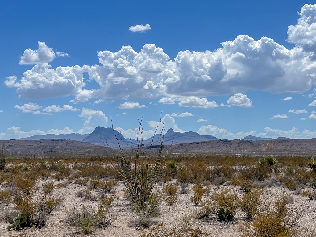 C32 Powell Rd, Terlingua, Texas image 9