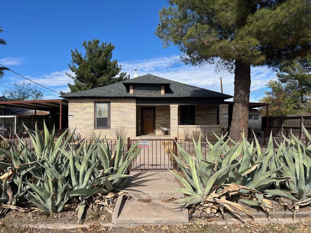 301 E Columbia, Marfa, Texas image 1